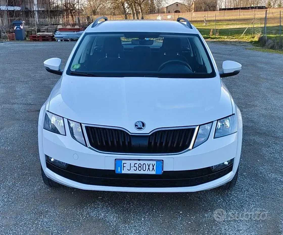 Usata Skoda Octavia Active 116 CV (85 kW) 2017 Bianco Berlina