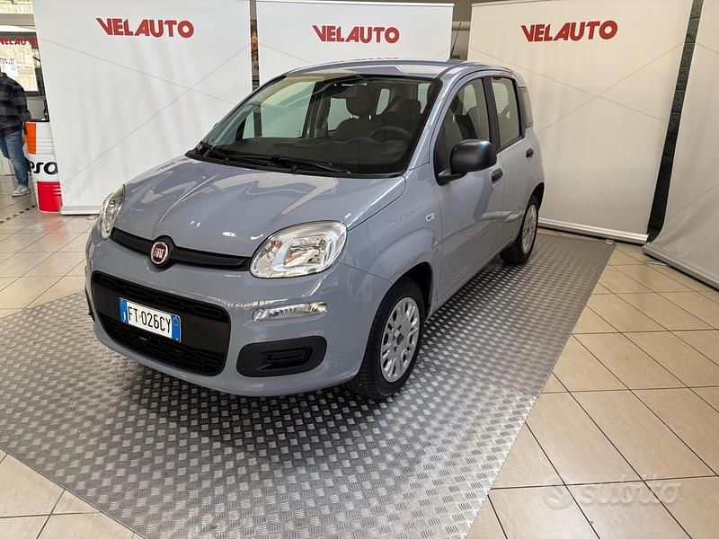Usata Fiat Panda Lounge 69 CV (50 kW) 2018 Grigio Utilitaria
