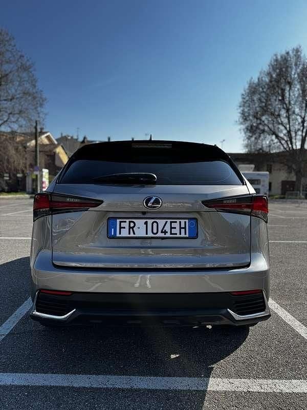 Usata Lexus NX300h Sport Line 155 CV (114 kW) 2018 SUV