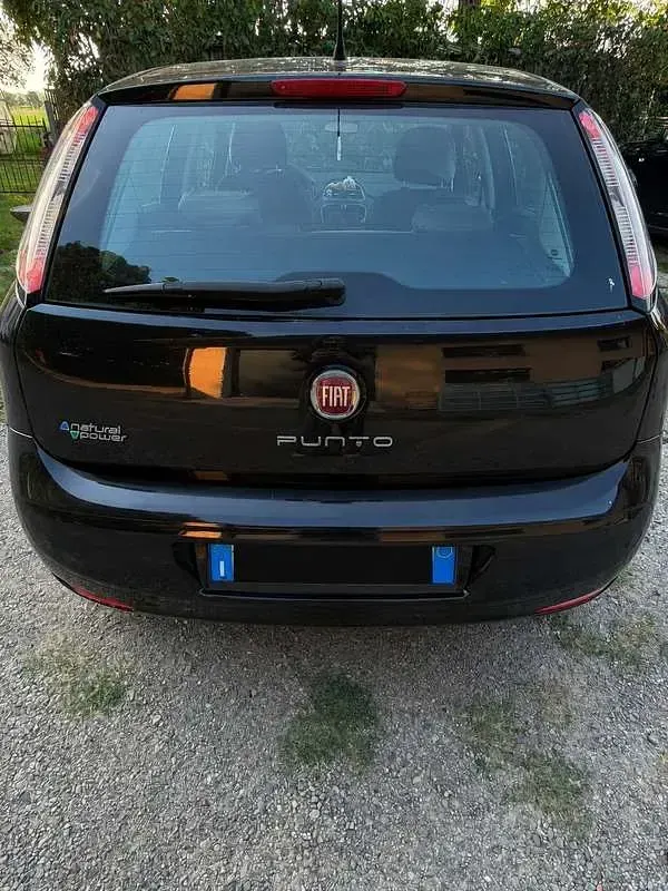 Usata Fiat Punto Easy 69 CV (50 kW) 2013 Utilitaria