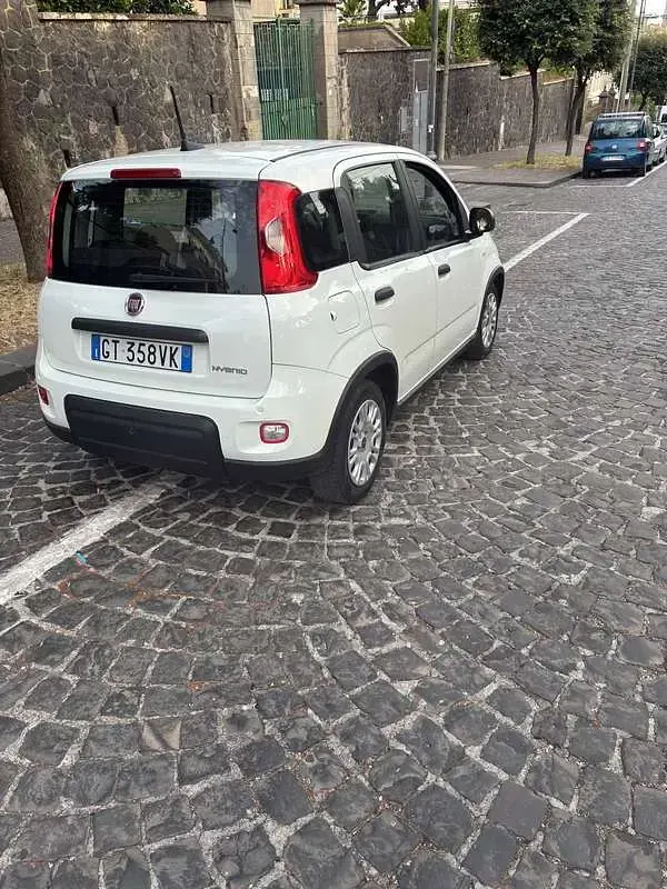 Usata Fiat Panda City Life 69 CV (50 kW) 2024 Utilitaria