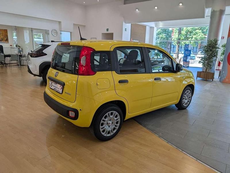Nuova Fiat Panda Icon 65 CV (47 kW) 2026 Giallo Utilitaria