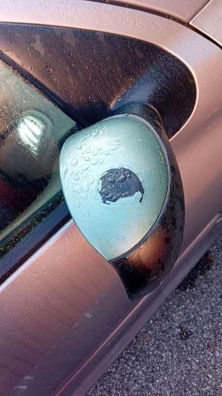 Usata Peugeot 206 S 75 CV (55 kW) 2004 Berlina