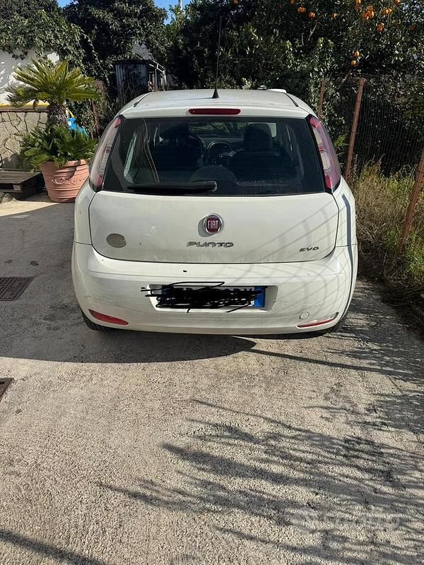 Usata Fiat Punto 2013 Bianco Berlina