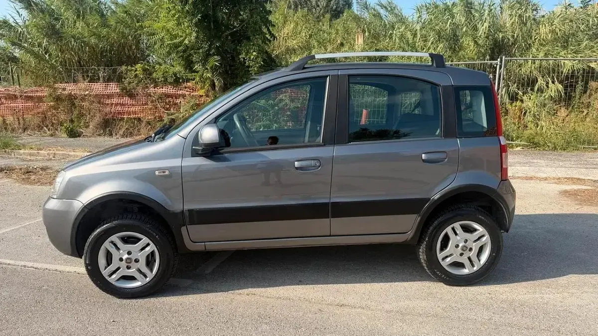 Usata Fiat Panda 4x4 Climbing 75 CV (55 kW) 2011 Grigio Utilitaria