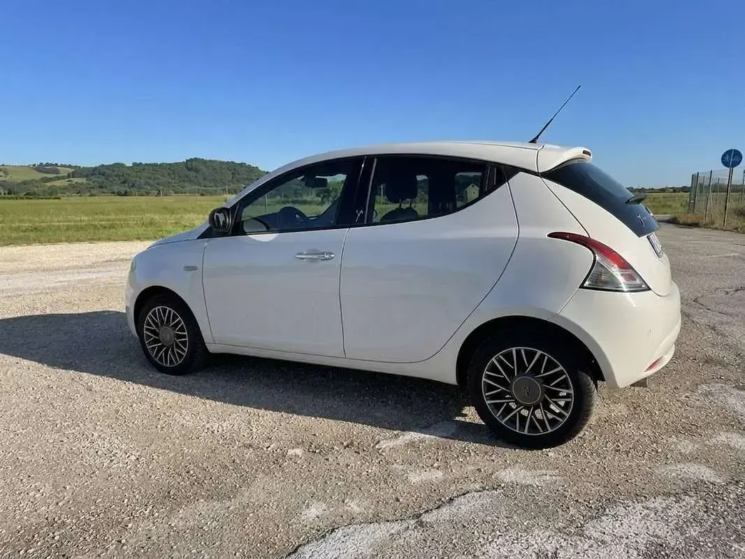 Usata Lancia Ypsilon Silver 69 CV (50 kW) 2016 Bianco Utilitaria