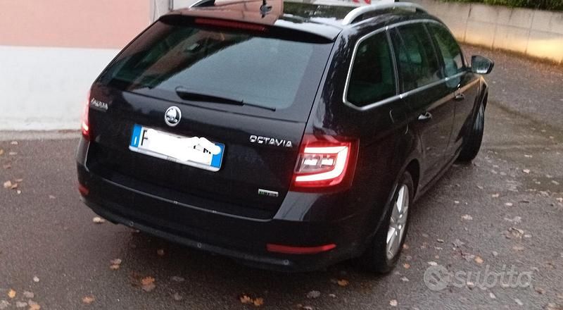 Usata Skoda Octavia G-TEC 2017 Nero Station wagon