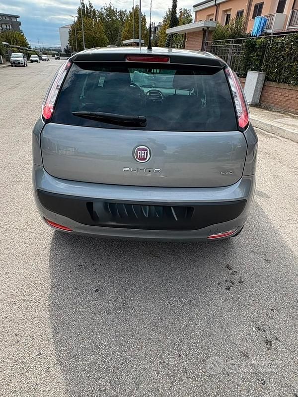 Usata Fiat Punto Dynamic 85 CV (62 kW) 2023 Grigio Utilitaria