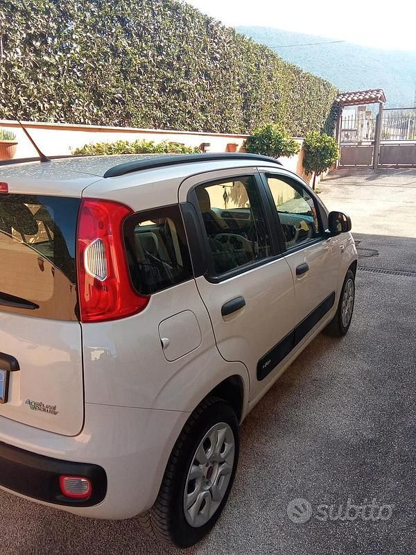Usata Fiat Panda 70 CV (51 kW) 2015 Utilitaria