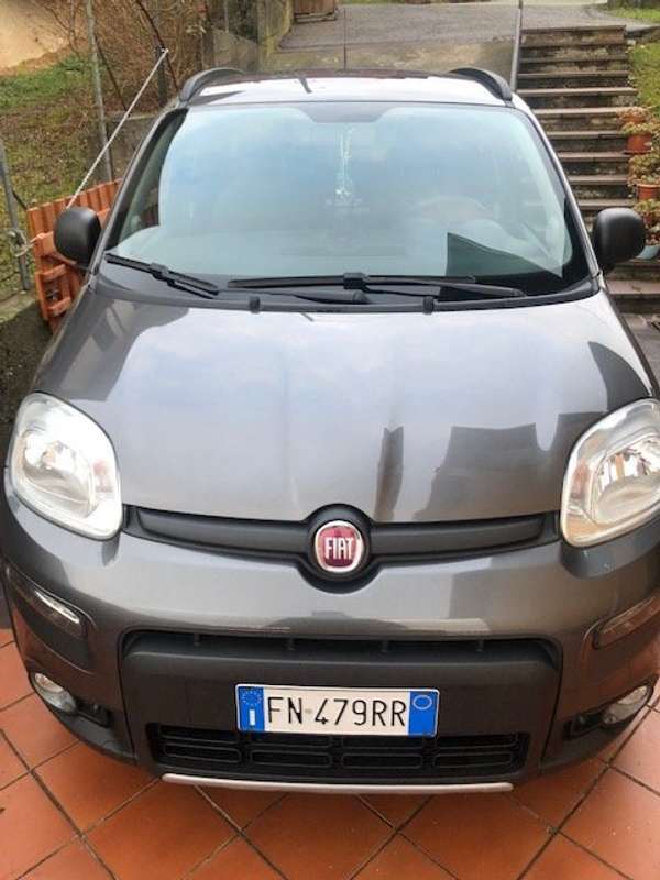 Usato 2018 Fiat Panda 4x4 1.2 Diesel 95 CV (16.000 €)