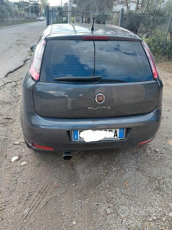 Usata Fiat Punto 75 CV (55 kW) 2015 Grigio Berlina