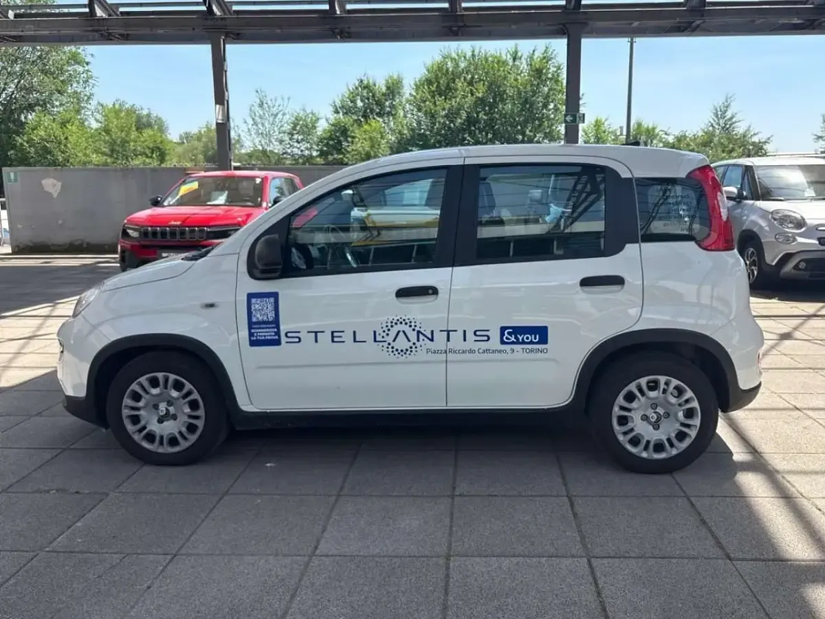 Usata Fiat Panda S 69 CV (50 kW) 2024 Bianco Utilitaria