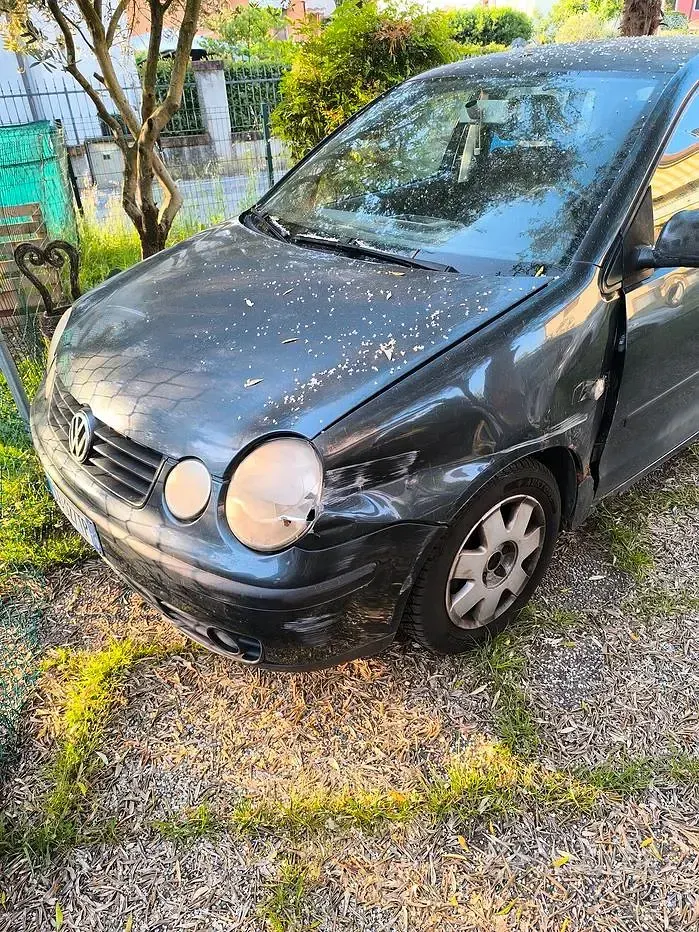 Usata VW Polo 60 CV (44 kW) 2003 Berlina