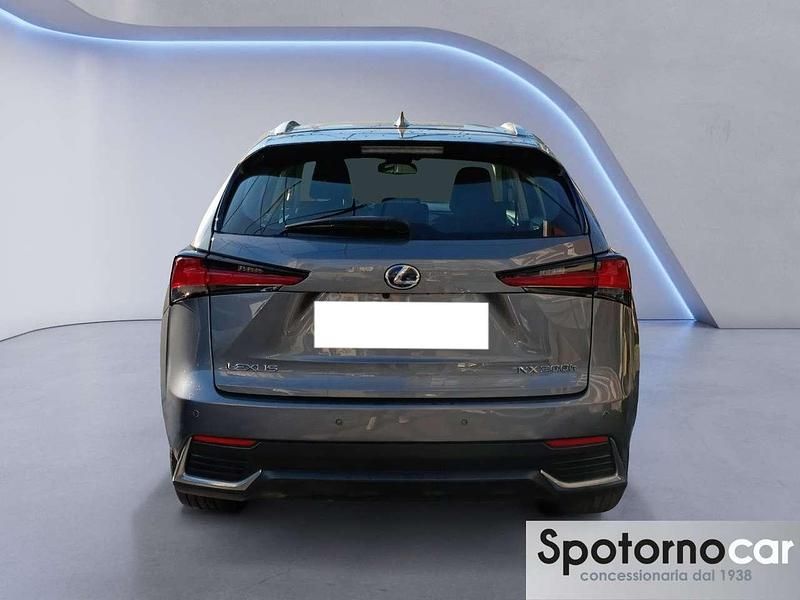 Usata Lexus NX300h Business Edition 197 CV (144 kW) 2020 Grigio SUV