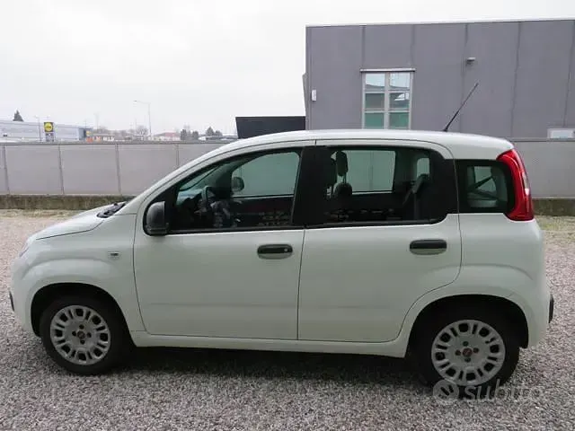Usata Fiat Panda Easy 69 CV (50 kW) 2019 Bianco Utilitaria