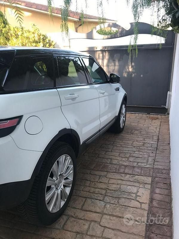 Usata Land Rover Range Rover evoque Pure 150 CV (110 kW) 2017 Bianco SUV
