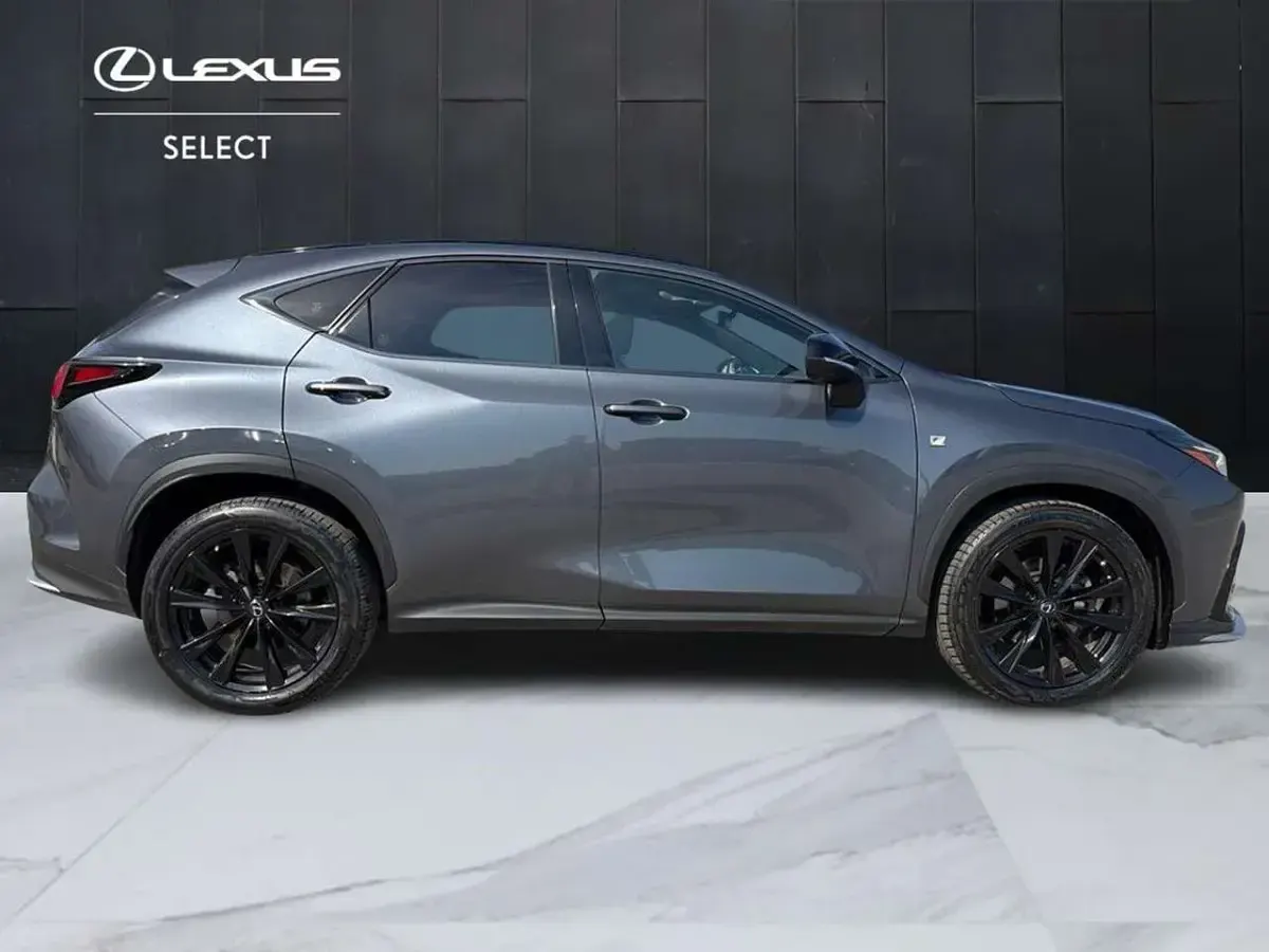 Usata Lexus NX300h Sport Line 243 CV (178 kW) 2022 Grigio SUV