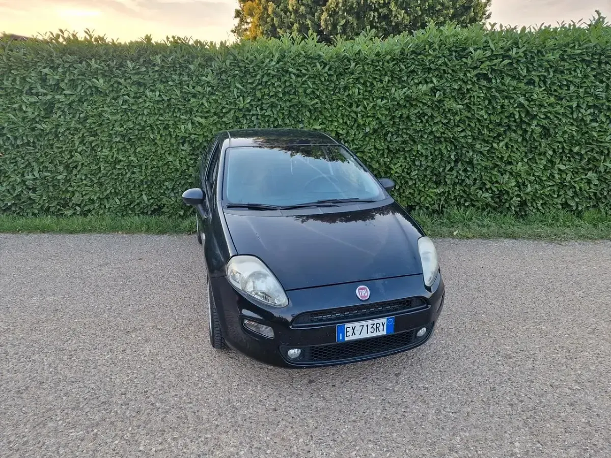 Usata Fiat Punto Easy 75 CV (55 kW) 2014 Nero Utilitaria