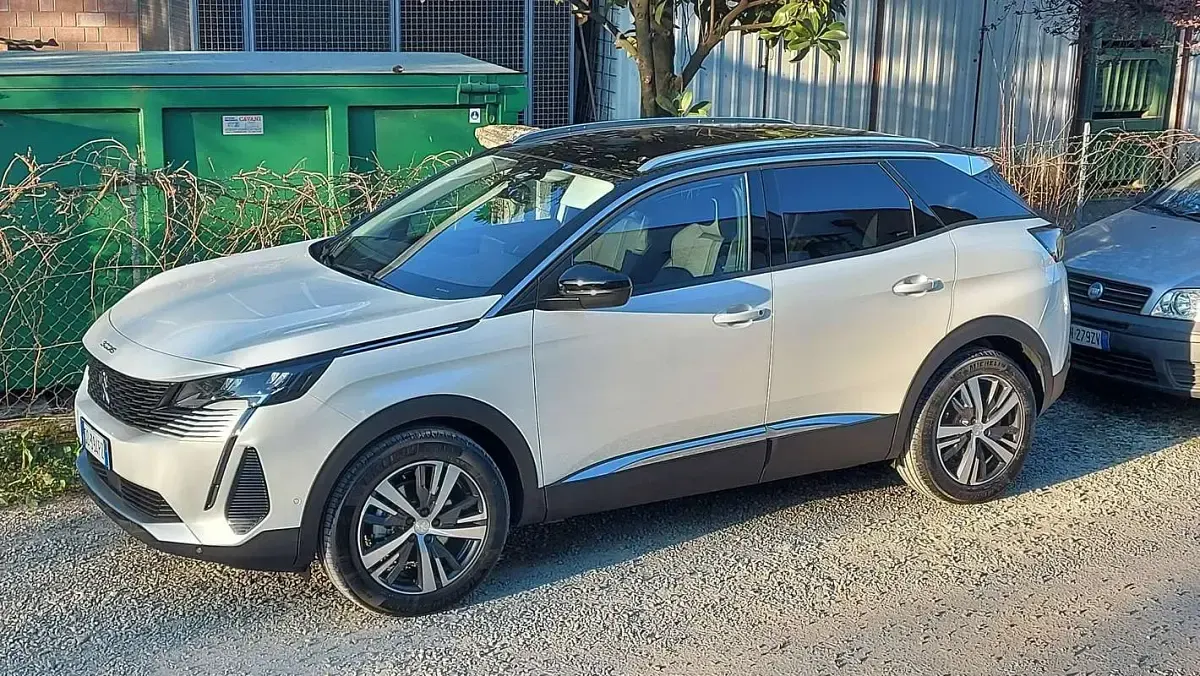 Usata Peugeot 3008 Business-Line 131 CV (96 kW) 2021 Bianco SUV