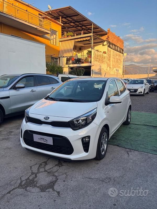 Usata Kia Picanto X-Line 66 CV (48 kW) 2019 Bianco Utilitaria
