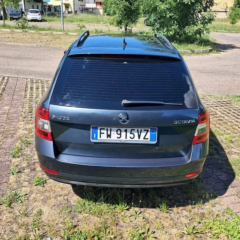 Usata Skoda Octavia Active 116 CV (85 kW) 2019 Grigio Station wagon