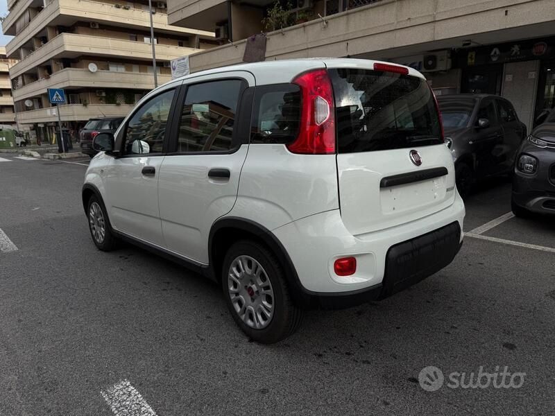 Usata Fiat Panda City Life 70 CV (51 kW) 2022 Bianco Utilitaria