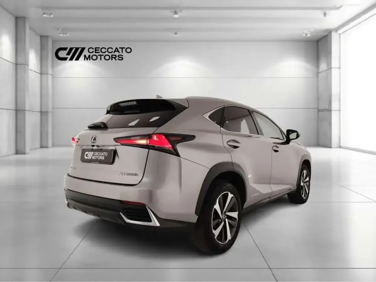 Usata Lexus NX300h Luxury Line 197 CV (144 kW) 2018 Grigio SUV