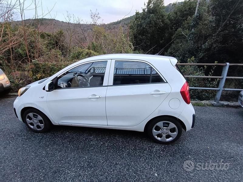 Usata Kia Picanto 2016 Bianco Utilitaria