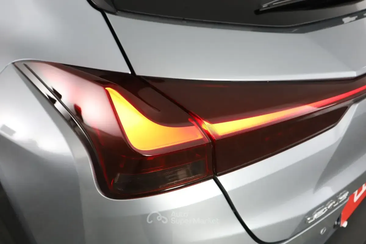 Usata Lexus UX 152 CV (111 kW) 2024 Gray SUV