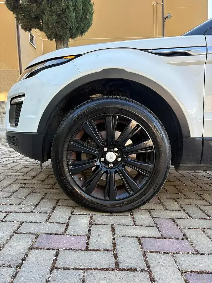 Usata Land Rover Range Rover evoque 150 CV (110 kW) 2016 Bianco SUV