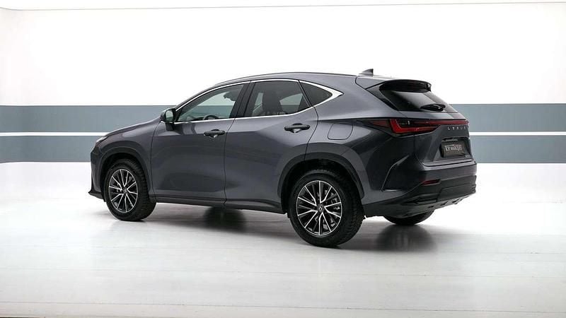 Usata Lexus NX350h 190 CV (139 kW) 2023 Antracite SUV