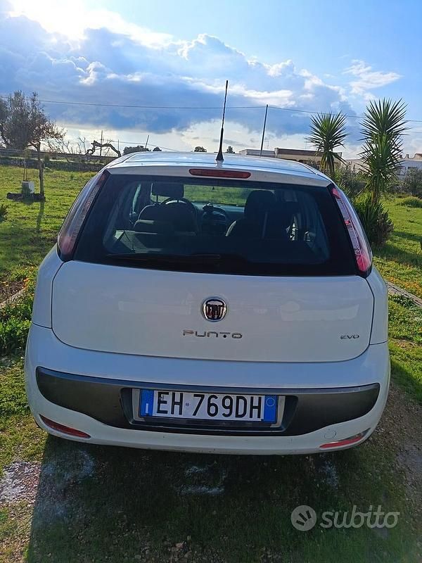 Usata Fiat Punto Evo Emotion 95 CV (69 kW) 2011 Bianco Utilitaria