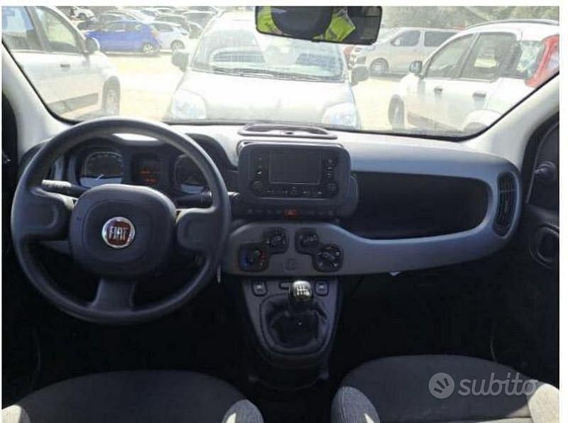 Usata Fiat Panda City Life 70 CV (51 kW) 2023 Bianco Utilitaria