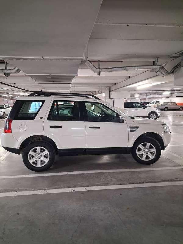 Usata Land Rover Freelander 2 S 160 CV (117 kW) 2010 Bianco SUV