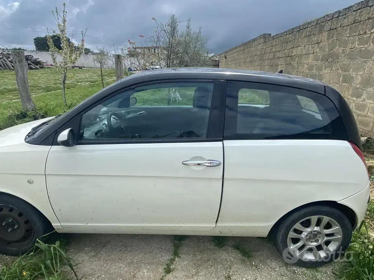 Usata Lancia Ypsilon 69 CV (50 kW) 2006 Utilitaria
