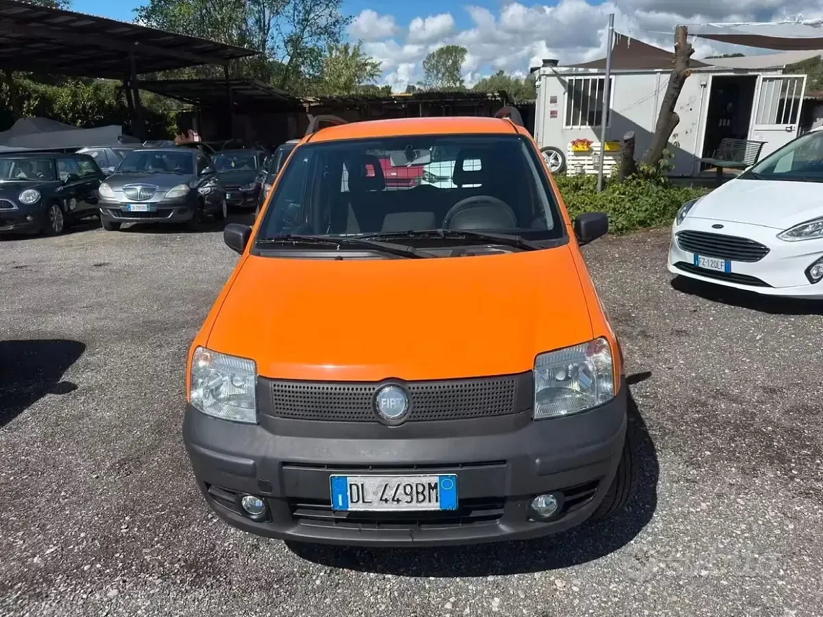 Usata Fiat Panda 4x4 Active 69 CV (50 kW) 2007 Arancione Utilitaria
