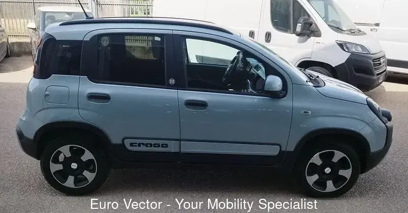 Usata Fiat Panda Cross Cross 69 CV (50 kW) 2020 Grigio Utilitaria