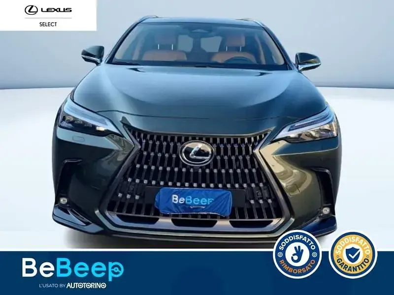 Usata Lexus NX450h+ Luxury Line 308 CV (226 kW) 2023 Verde metallizzato SUV