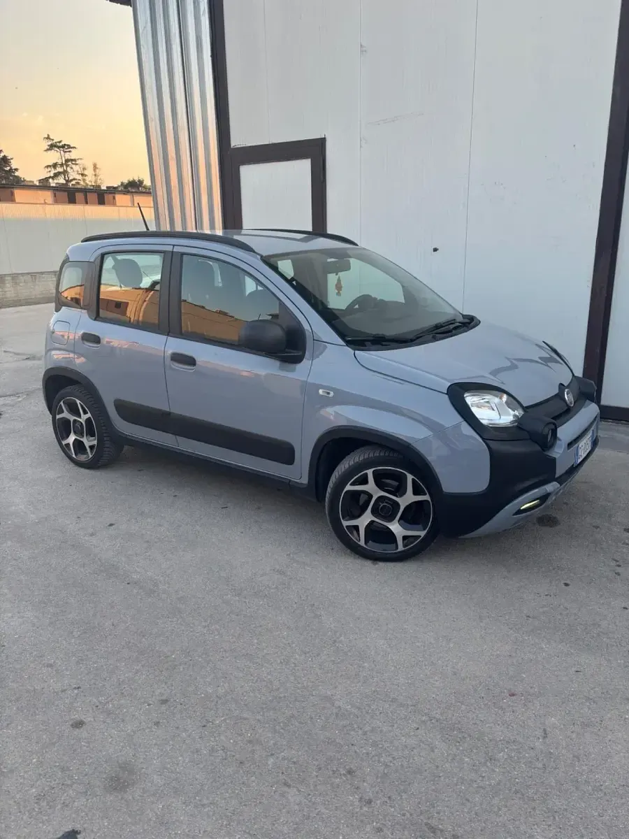 Usata Fiat Panda Cross Cross 69 CV (50 kW) 2020 Grigio Utilitaria