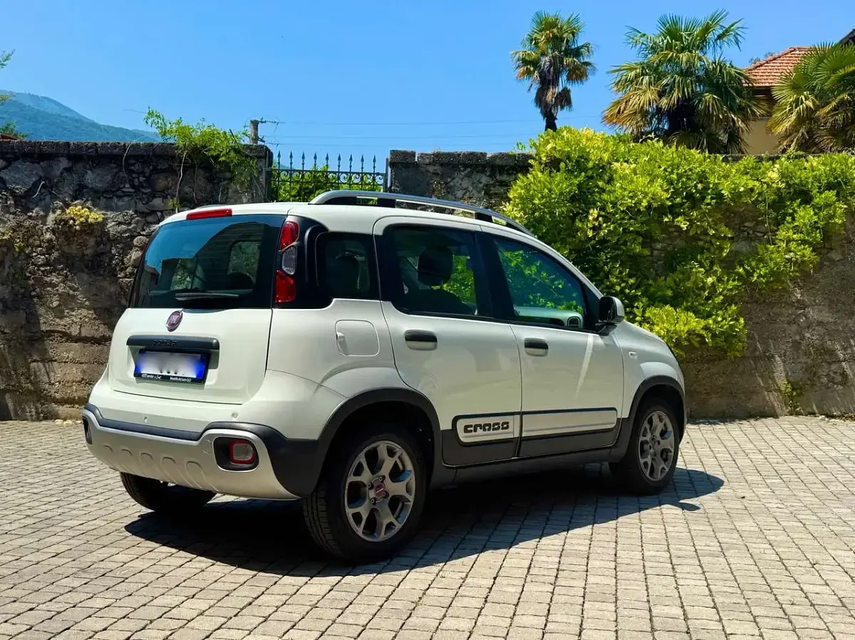 Usata Fiat Panda Cross Cross 71 CV (52 kW) 2020 Bianco Utilitaria