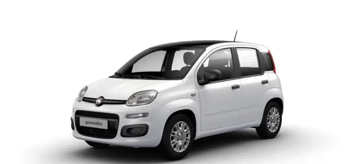 Nuova Fiat Panda Icon 70 CV (51 kW) 2025 Bianco Utilitaria