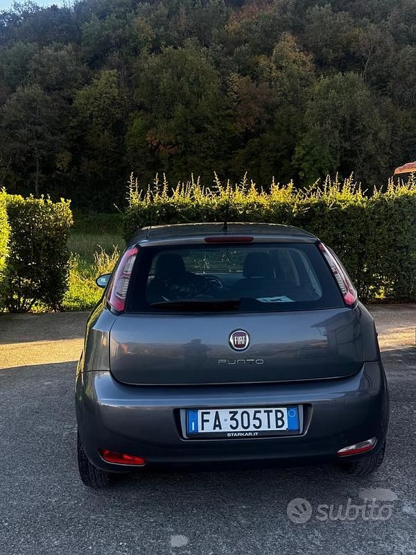 Usata Fiat Punto 75 CV (55 kW) 2015 Grigio Berlina
