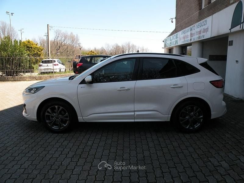 Usata Ford Kuga ST-Line 190 CV (139 kW) 2023 Bianco SUV