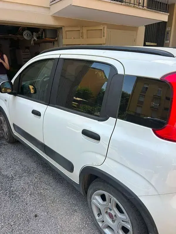 Usata Fiat Panda S 69 CV (50 kW) 2023 Bianco Utilitaria