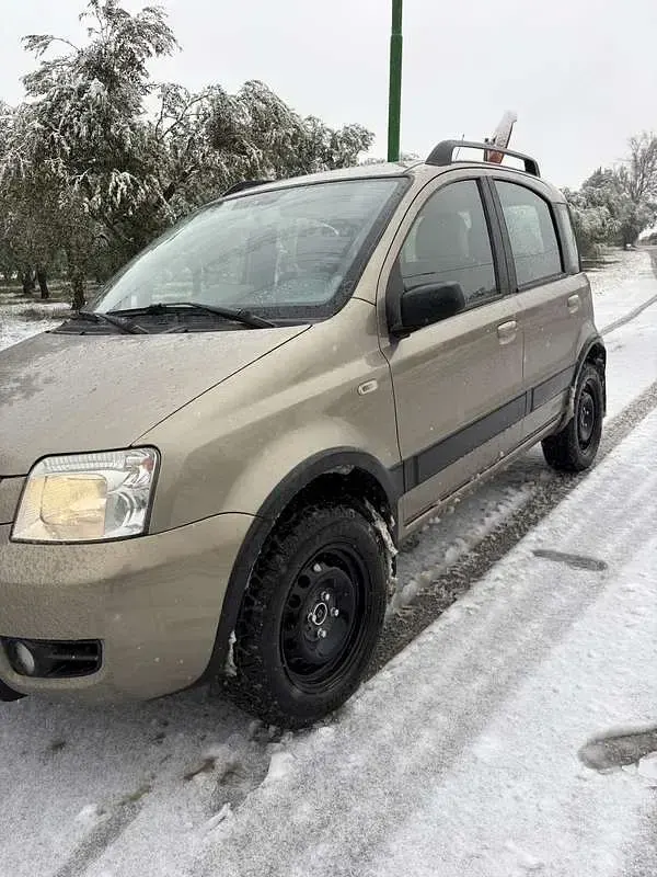 Usata Fiat Panda 4x4 Climbing 69 CV (50 kW) 2008 Utilitaria