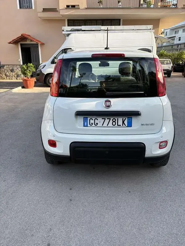 Usata Fiat Panda Cross Cross 69 CV (50 kW) 2021 Utilitaria