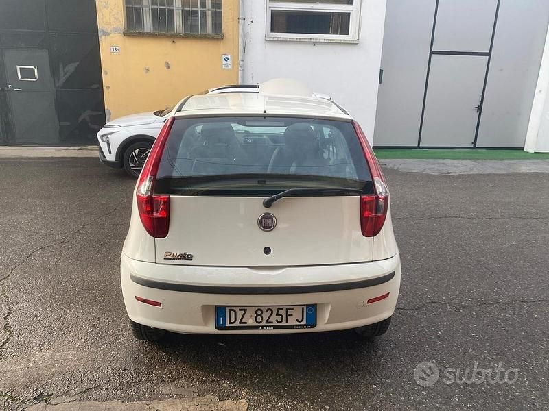 Usata Fiat Punto Active 59 CV (43 kW) 2009 Bianco Berlina