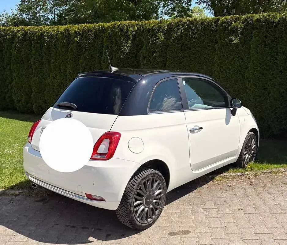 Usata Fiat 500 Lounge 69 CV (50 kW) 2019 Utilitaria
