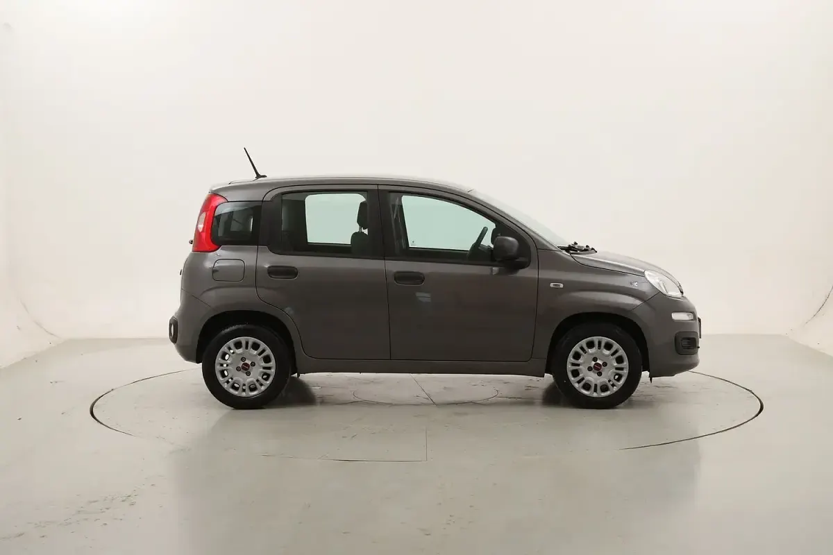 Usata Fiat Panda Easy 69 CV (50 kW) 2021 Utilitaria