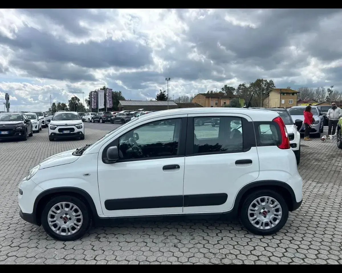 Usata Fiat Panda Cross Cross 70 CV (51 kW) 2023 Bianco Utilitaria